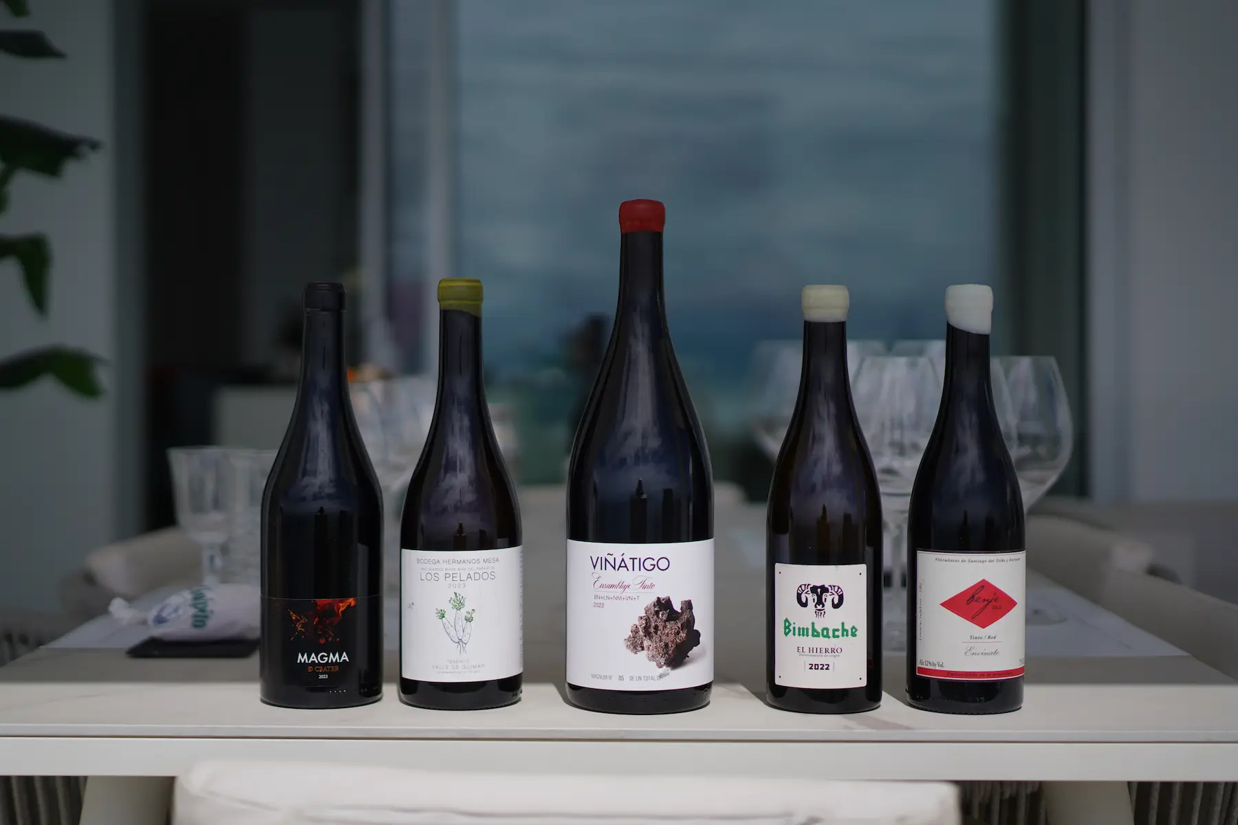 Canary wine tasting at a private villa in Tenerife